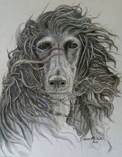 11930665_10203296033961375_1796634332_n