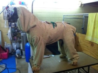 427004_3080849914087_300090348_n